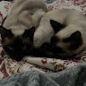 Meet your Posher, Kaylee